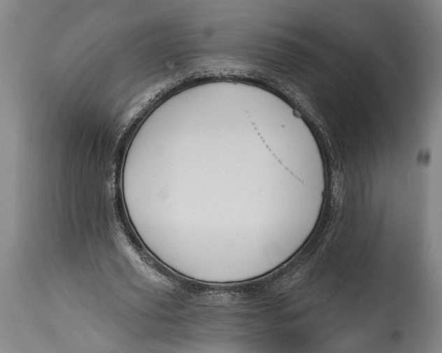 X0000115110629200911171306