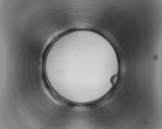 X0000115110630200911171306