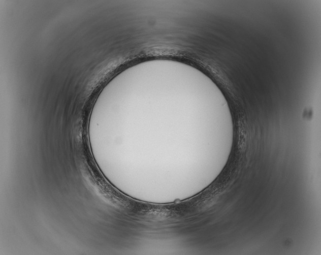 X0000115110631200911171306