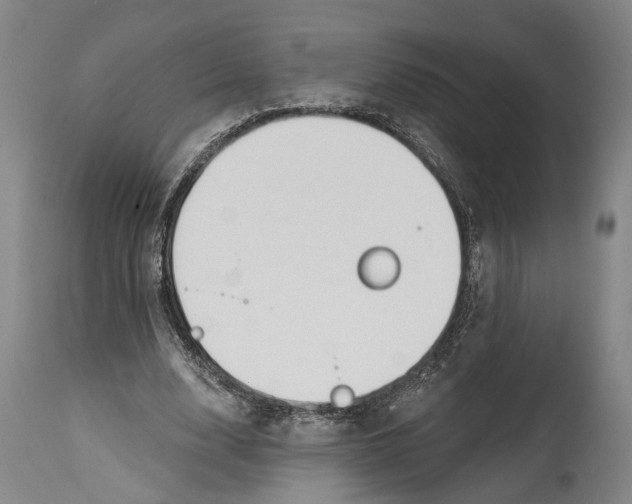 X0000115110632200911171306
