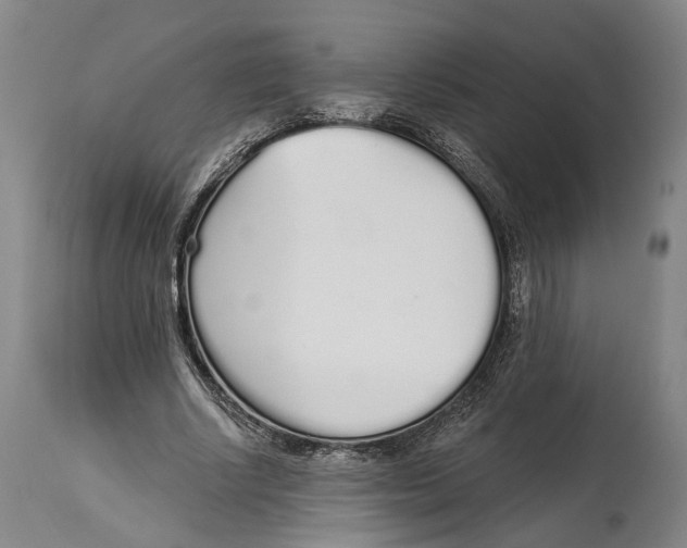 X0000115110634200911171306