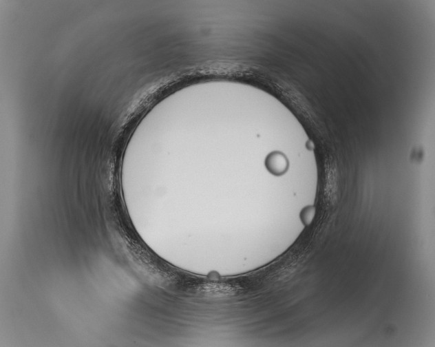 X0000115110636200911171306