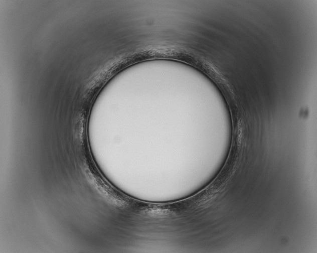 X0000115110637200911171306