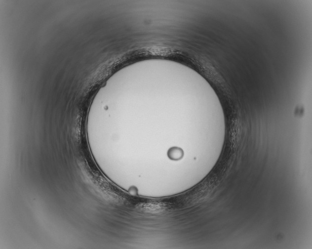 X0000115110639200911171306