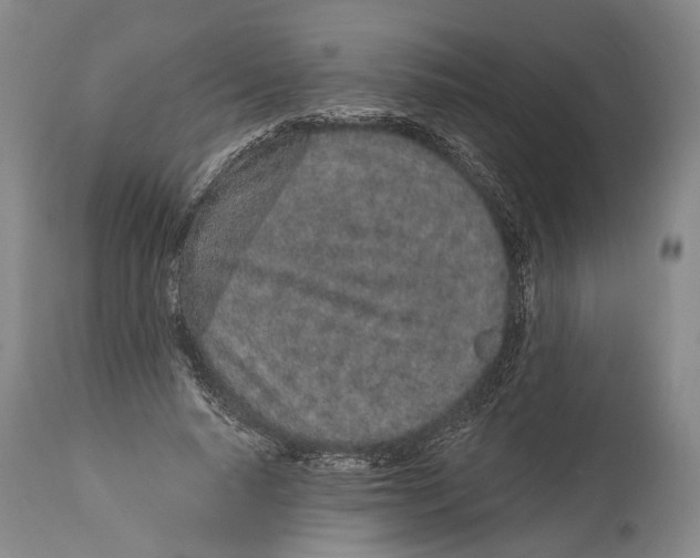 X0000115110640200911171306