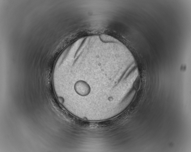 X0000115110641200911171306