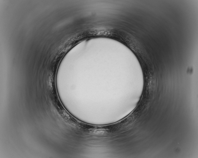 X0000115110643200911171306