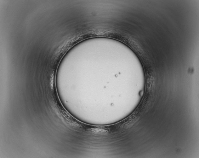 X0000115110644200911171306