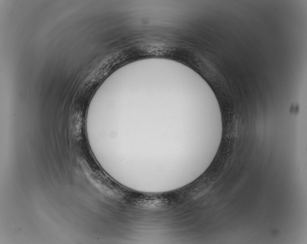 X0000115110646200911171306