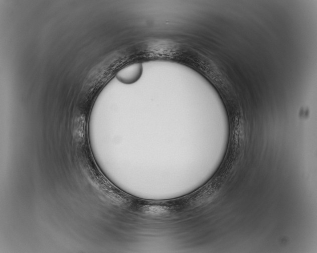 X0000115110649200911171306