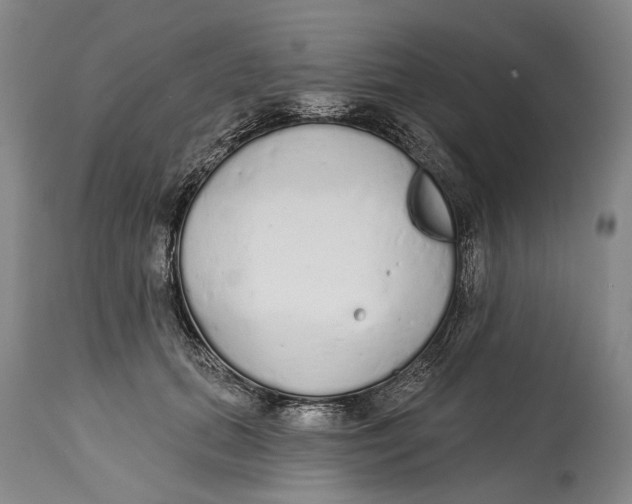 X0000115110655200911171306