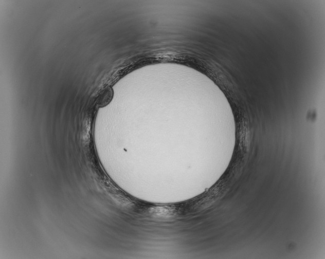 X0000115110660200911171306
