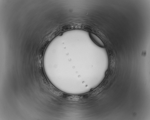 X0000115110661200911171306