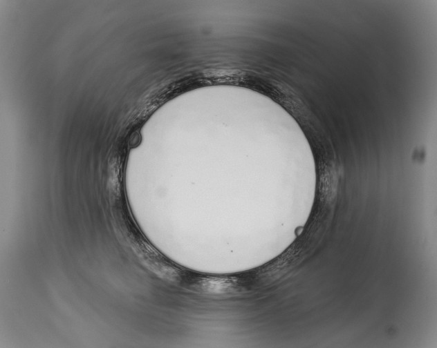 X0000115110662200911171306