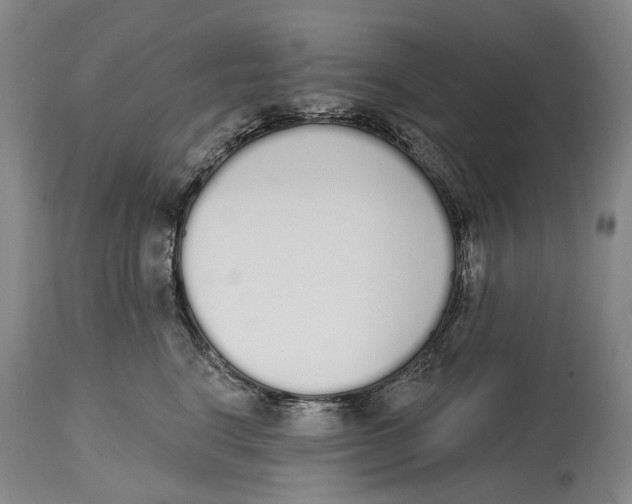 X0000115110664200911171306