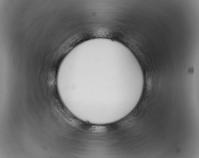 X0000115110665200911171306