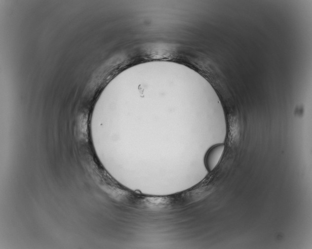 X0000115110667200911171306