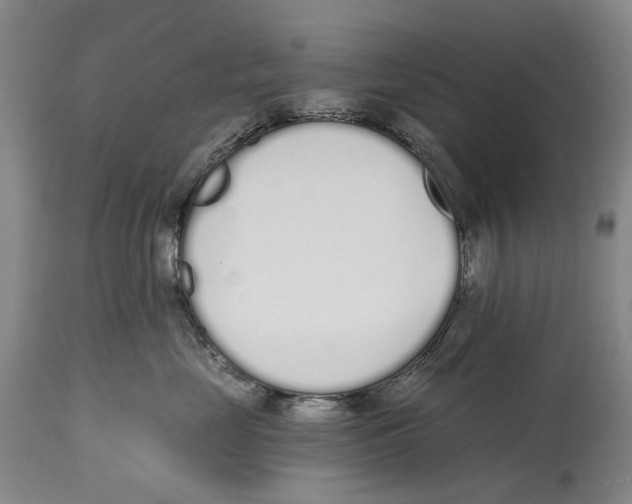 X0000115110669200911171306