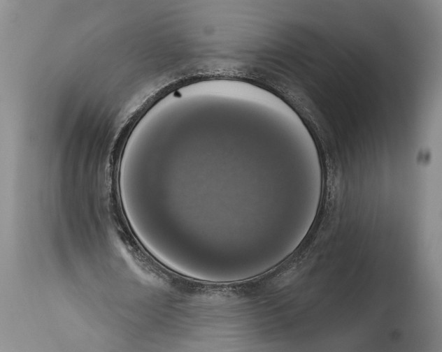 X0000115110674200911171306