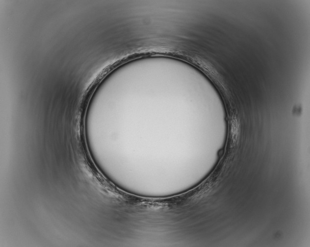 X0000115110676200911171306