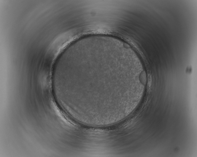 X0000115110677200911171306