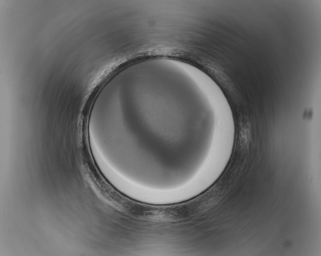 X0000115110678200911171306