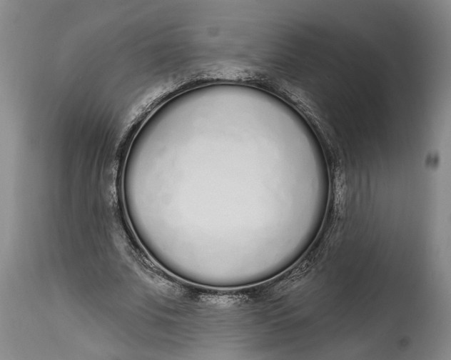 X0000115110679200911171306