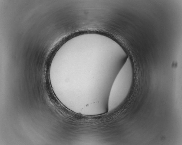 X0000115110680200911171306