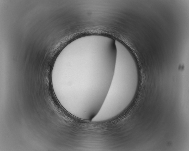 X0000115110681200911171306
