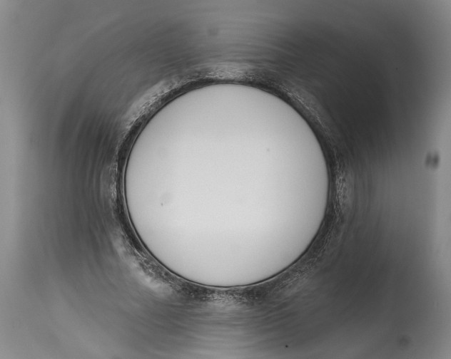 X0000115110682200911171306