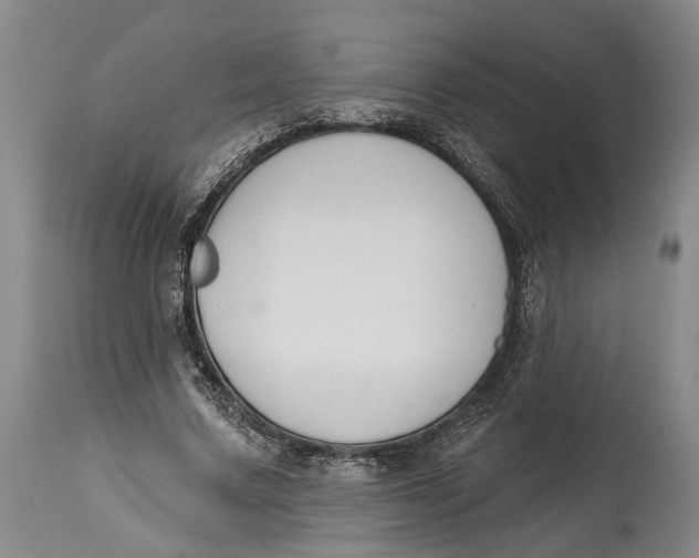 X0000115110683200911171306