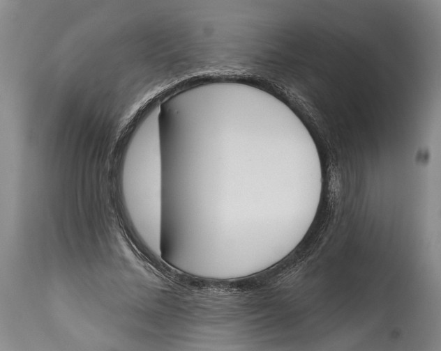 X0000115110684200911171306