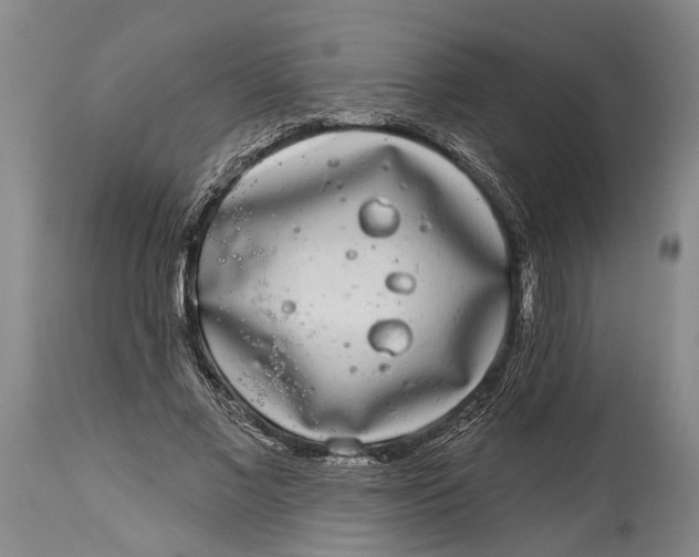 X0000115110685200911171306