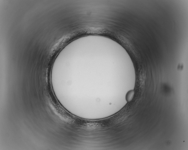 X0000115110686200911171306
