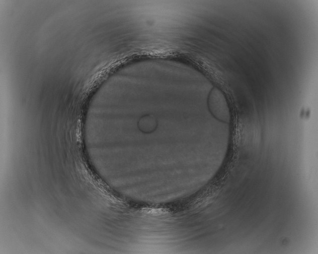 X0000115110689200911171306