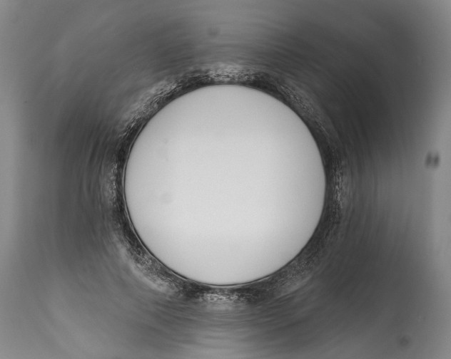X0000115110690200911171306