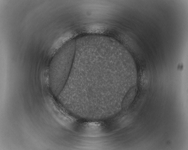 X0000115110692200911171306