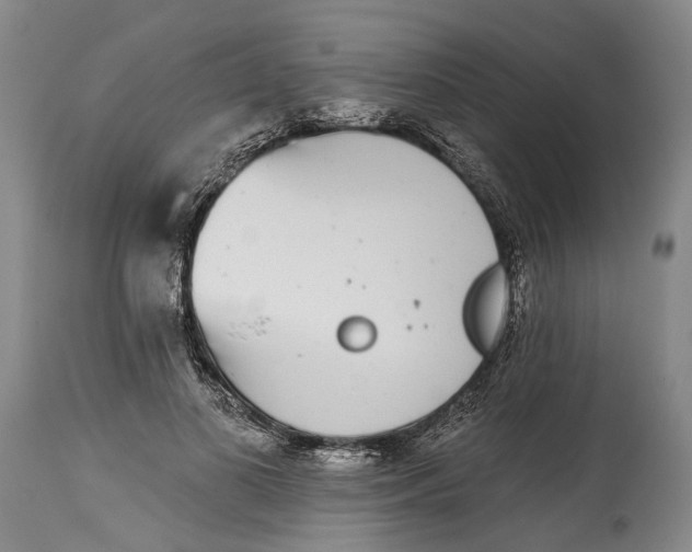 X0000115110693200911171306