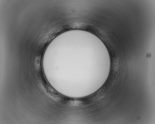 X0000115110695200911171306