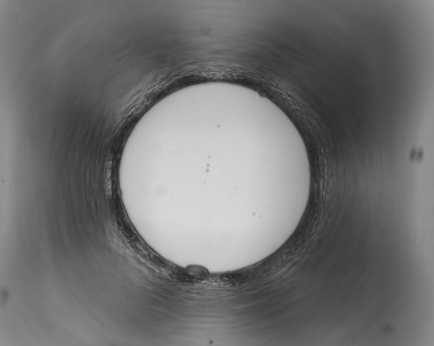 X0000115110696200911171306