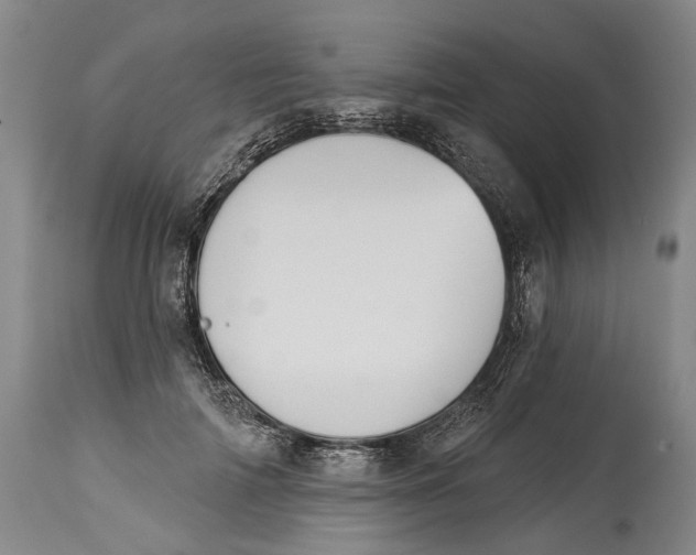 X0000115110698200911171305