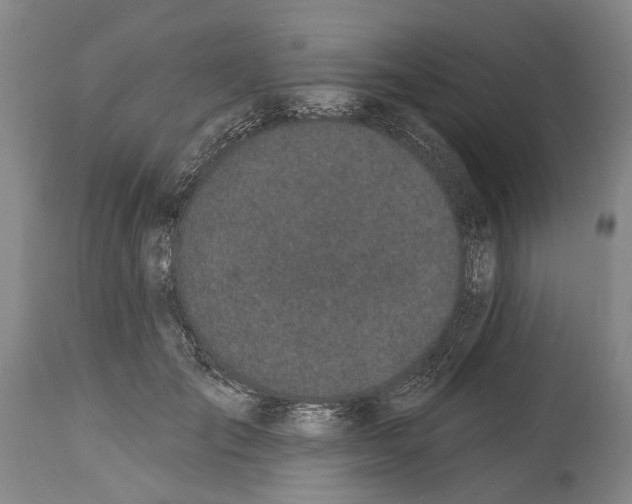 X0000115110701200911171305