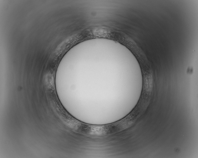 X0000115110705200911171305