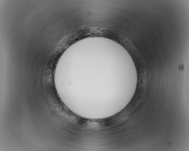 X0000115110706200911171305