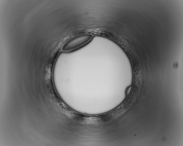 X0000115110708200911171305