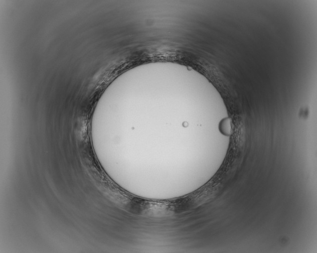X0000115110709200911171305