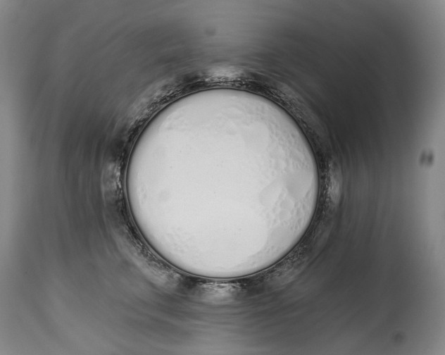 X0000115110711200911171305