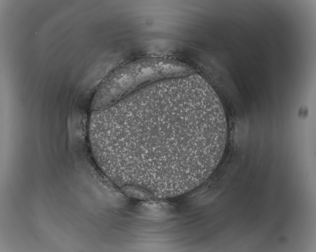 X0000115110712200911171305