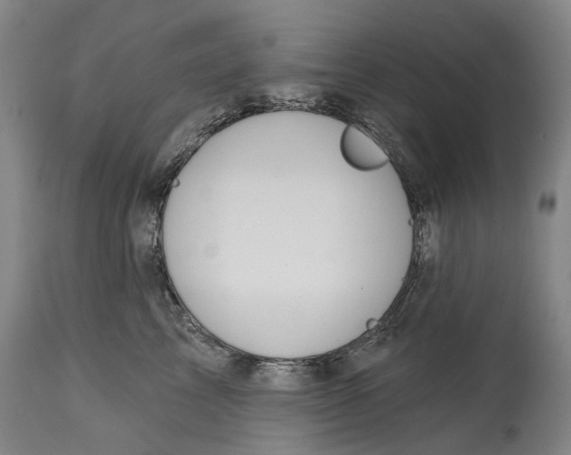 X0000115110713200911171305