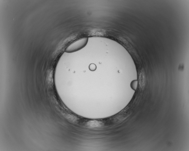 X0000115110714200911171305